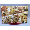 Postales japonesas de Super Smash Bros Melee