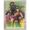 DVD Sengoku Musou 2 Treasure Box