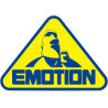 Emotion